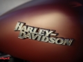 Harley-streetbob-2018-011