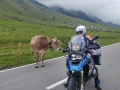 Easy-Rider-Alps-042