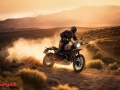 BMW R 12 GS (19)
