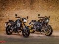 Suzuki-800TT-T-4065