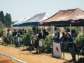 Israel-Cup-Rd6 (19)