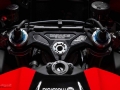 Panigale V4 Marquez 2025 World Champion Replica (11)