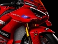 Panigale V4 Marquez 2025 World Champion Replica (22)