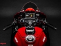 Panigale V4 Marquez 2025 World Champion Replica (28)