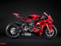 Panigale V4 Marquez 2025 World Champion Replica (5)