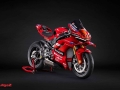 Panigale V4 Marquez 2025 World Champion Replica (9)