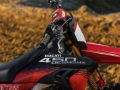 Desmo450 MX Factory (2)