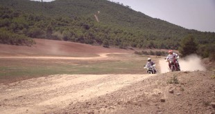 מארק מרקז וחואן ברדה נותנים גז על אפריקה טווין