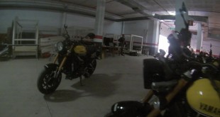 זומר ואנדרג' משתעשעים עם ה-XSR900 בקנריים
