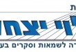 logo_Levi_Group