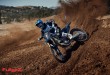 YZ250F Monster Energy Edition action