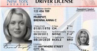 American Licence