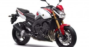 Yamaha FZ8 Fazer (3)