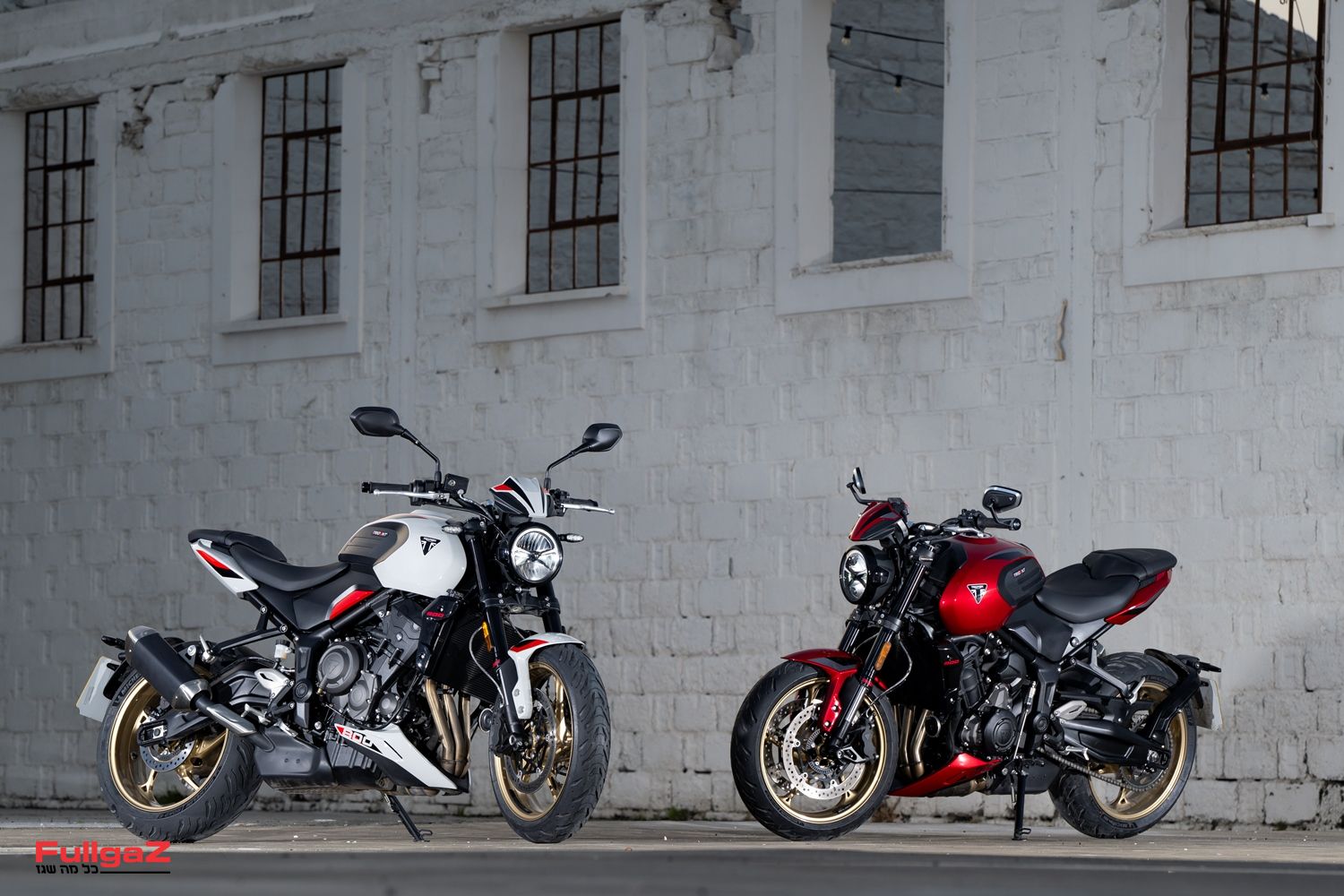 באפור ובאדום