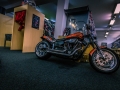 SAM_6009