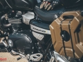Triumph-Trip-Daliat-El-Carmel-07