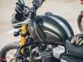 Triumph-Trip-Daliat-El-Carmel-08