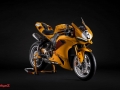 02-COLLEZIONE_100_PANIGALE-V2-100-2