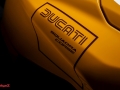 02-COLLEZIONE_100_PANIGALE-V2-100-3