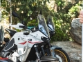 Kove Launch Delek Motors (2)