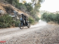Kove Launch Delek Motors (7)