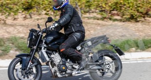 duke800