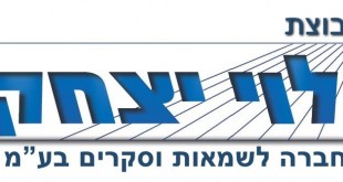 logo_Levi_Group