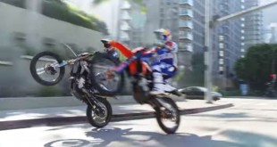 red-bull-wheelie