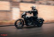 Indian-Scout-Rogue-001