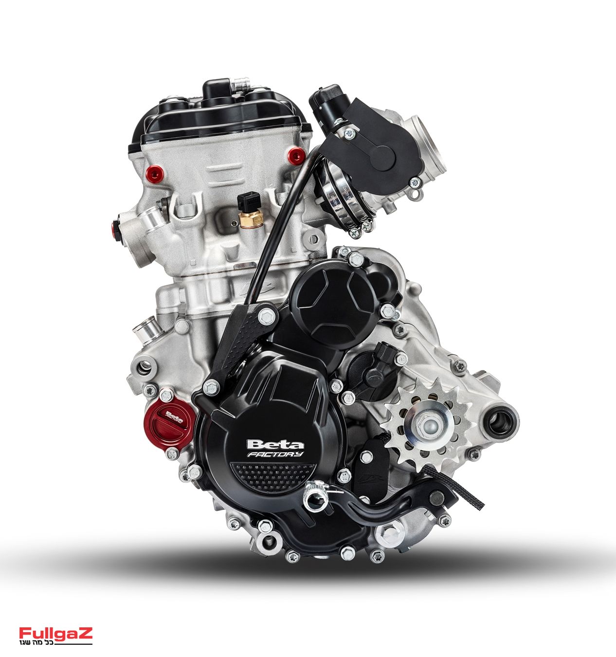 RX 250 4T engine (2)