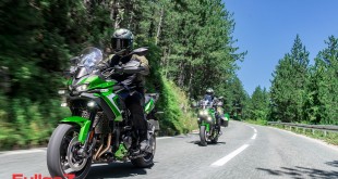 Kawasaki Versys 900 (4)